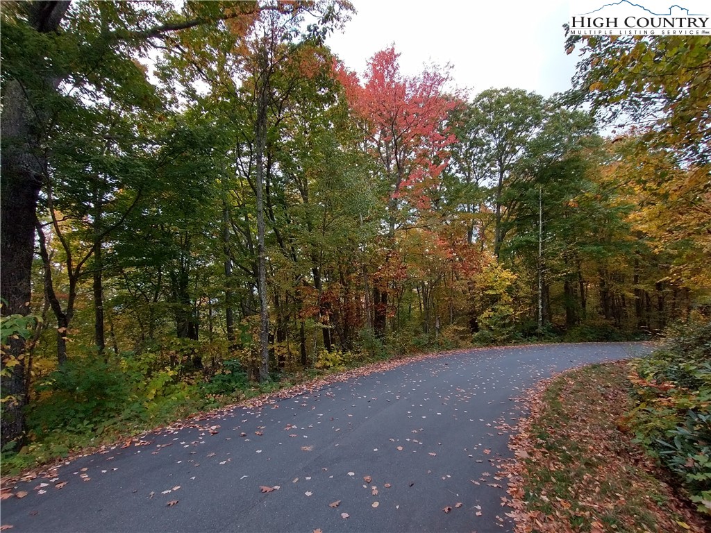 Lot 15 Chestnut Mountain Road Banner Elk, NC 28604 - Photo 40 of 50 Gallery Image 40