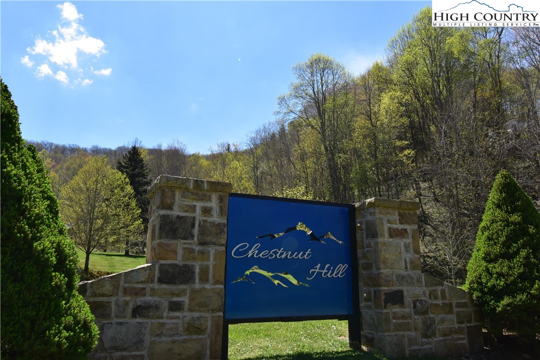 Lot 15 Chestnut Mountain Road Banner Elk, NC 28604 - Photo 4 of 50 Gallery Image 4