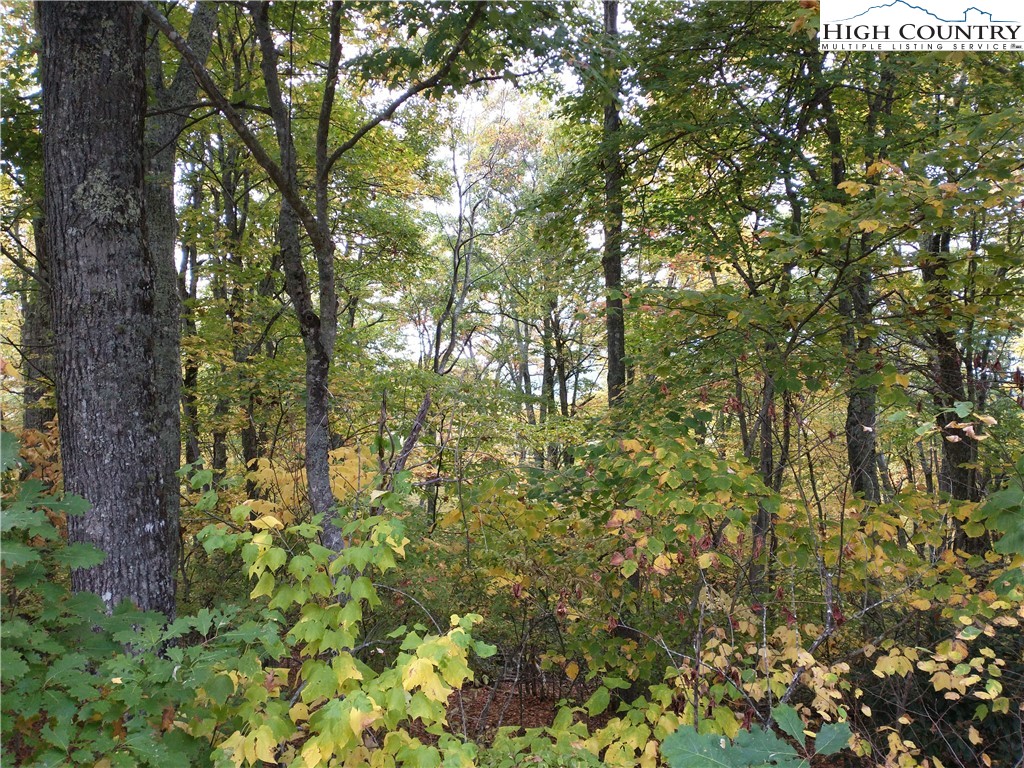 Lot 15 Chestnut Mountain Road Banner Elk, NC 28604 - Photo 41 of 50 Gallery Image 41