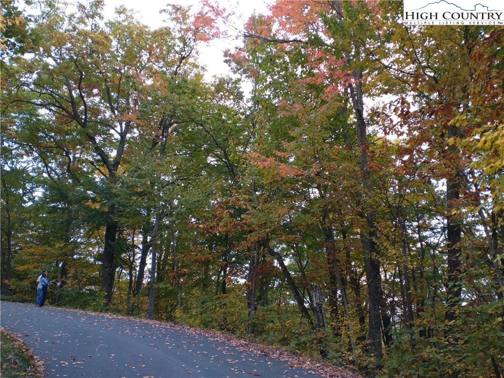 Lot 15 Chestnut Mountain Road Banner Elk, NC 28604 - Photo 42 of 50 Gallery Image 42