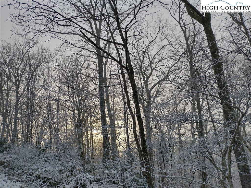 Lot 15 Chestnut Mountain Road Banner Elk, NC 28604 - Photo 46 of 50 Gallery Image 46