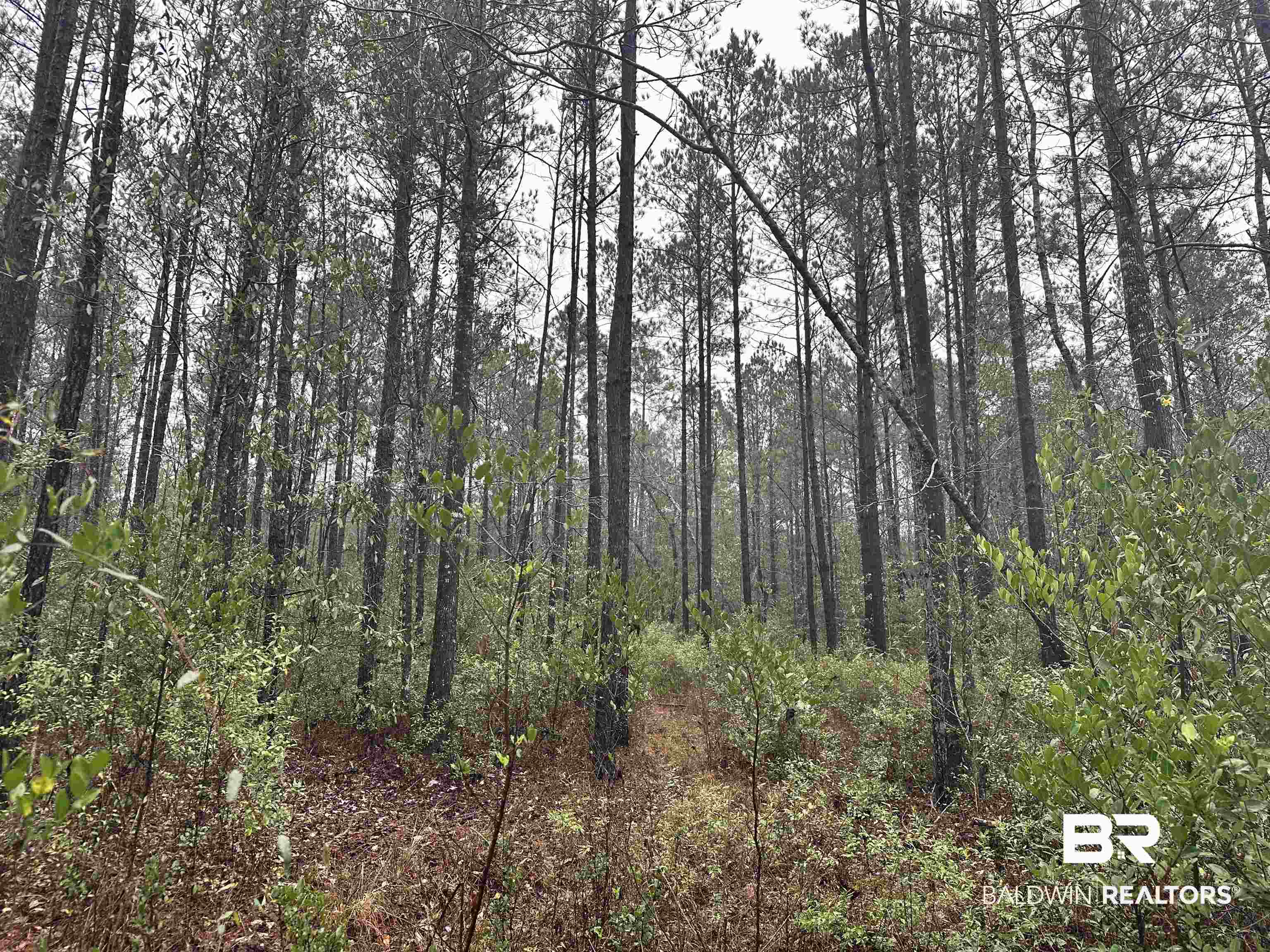 4549 J D Howard Road Tibbie, AL 36583 - Photo 26 of 33
