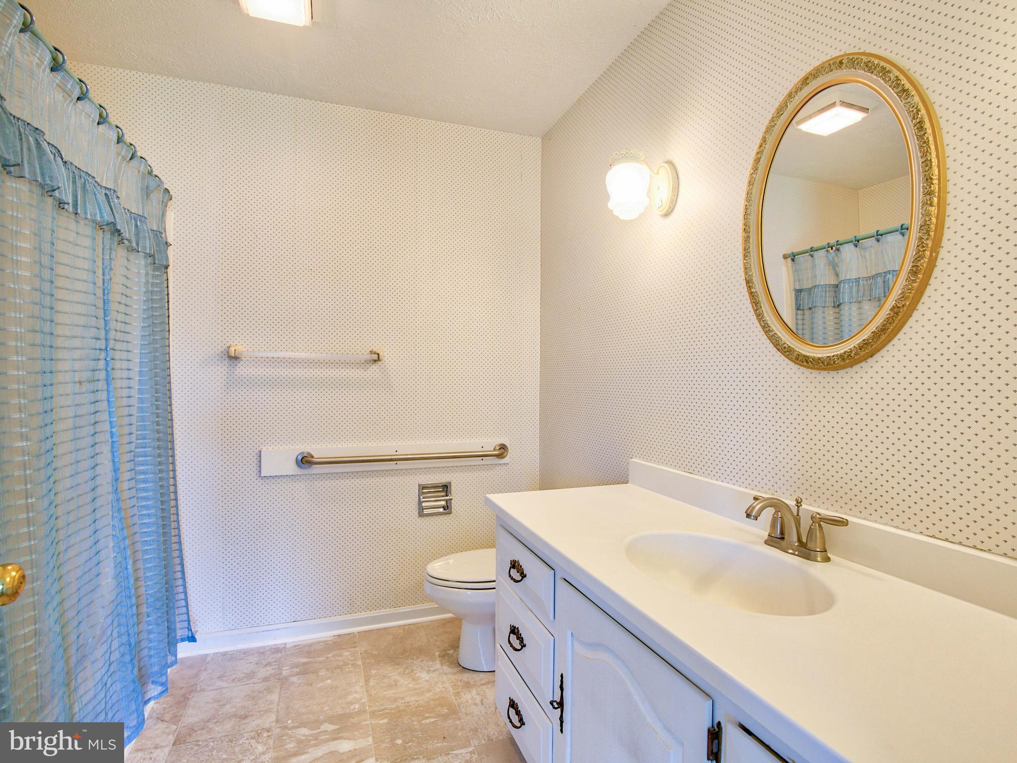 164 Hanging Tree Road Winchester, VA 22603 - Photo 24 of 43 Master Bathroom