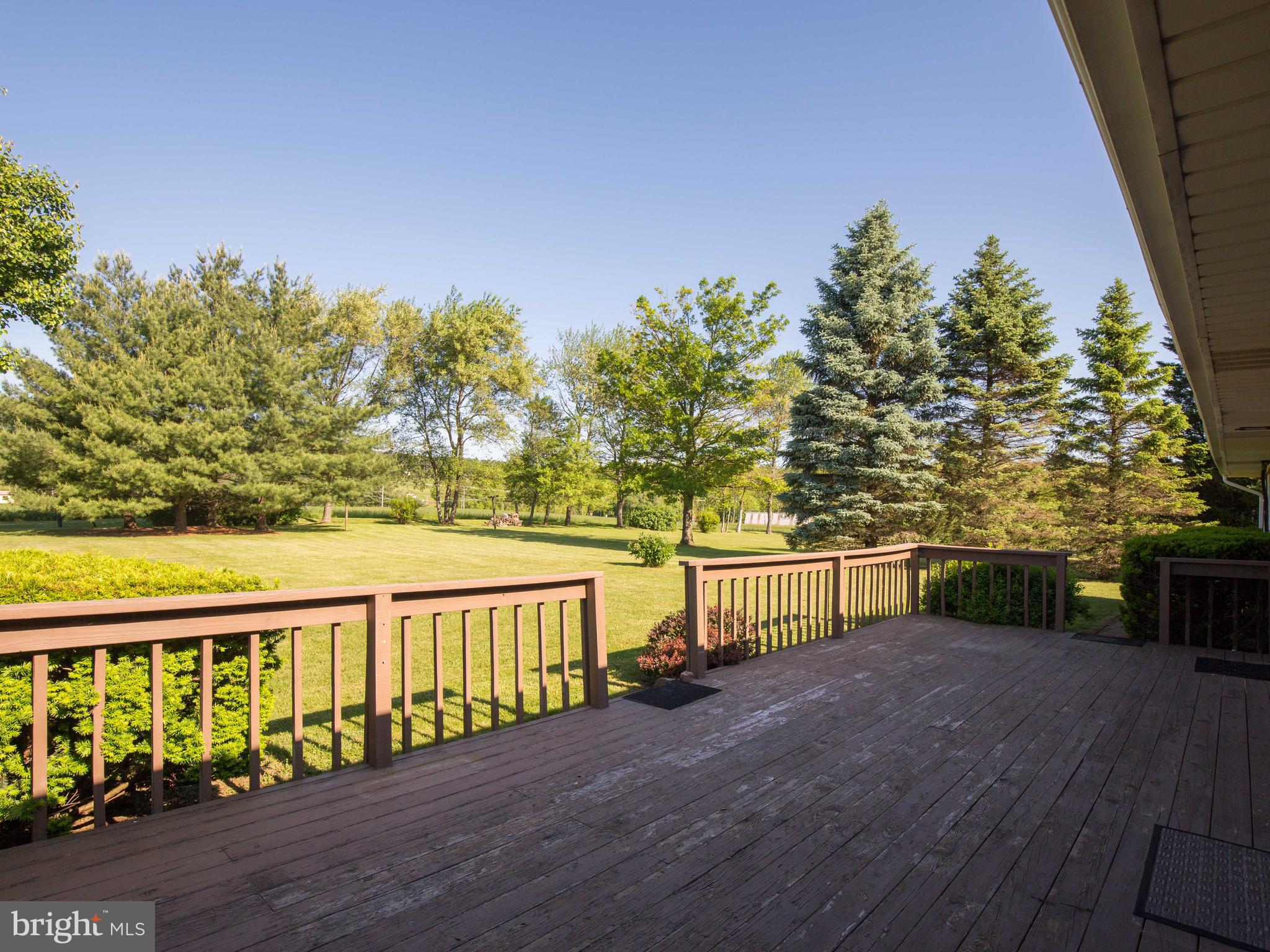 164 Hanging Tree Road Winchester, VA 22603 - Photo 29 of 43 Mature trees make the view beautiful from the deck