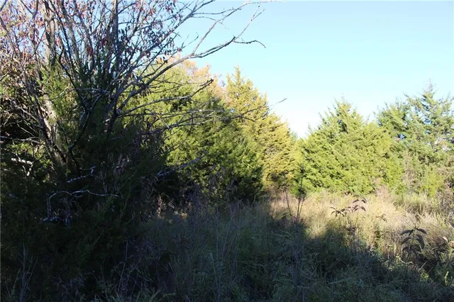 $1,400,000 | 9730 Sunflower Road, De Soto, KS 66018