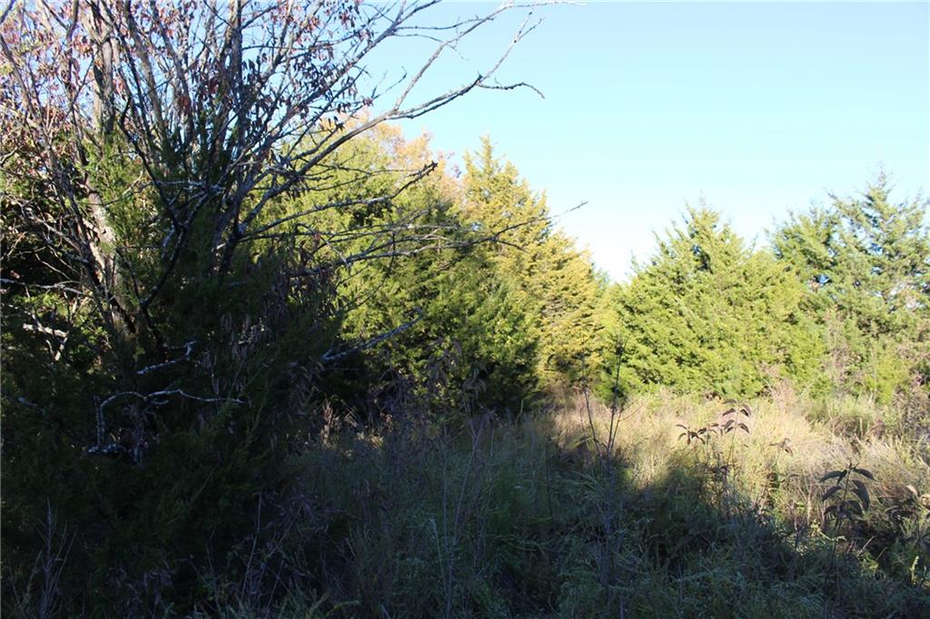 9730 Sunflower Road De Soto, KS 66018 - Photo 41 of 47