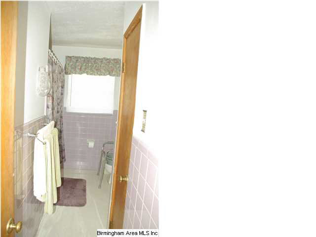 234 Old Hannah Road Leeds, AL 35094 - Photo 13 of 25 Gallery Image 13