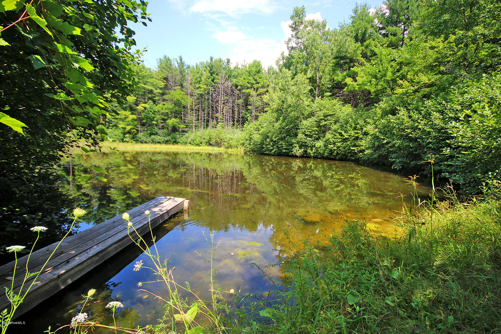 900 Stockbridge Road Lee, MA 01238 - Photo 4 of 27 THE POND