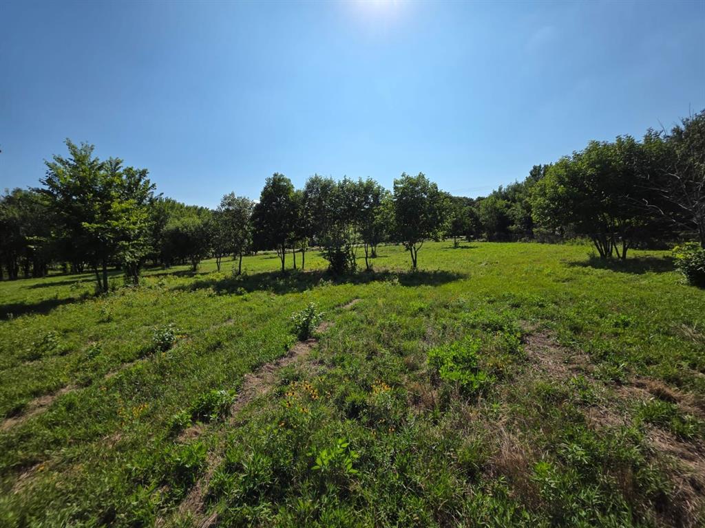 Tbd Naylor Road Oak Point, TX 75068 - Photo 2 of 7 a view of outdoor space with garden and trees
