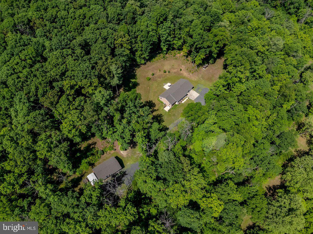 906 Cauthorn Mill Road Middletown, VA 22645 - Photo 8 of 47
