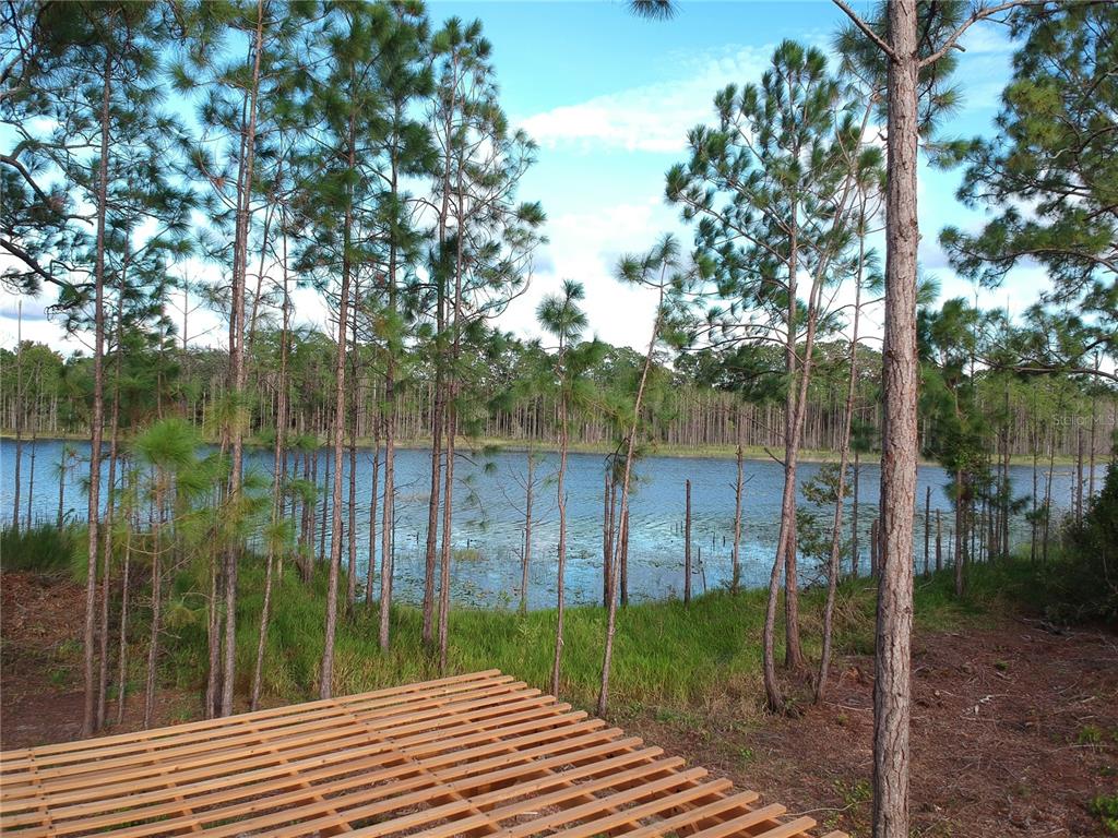 205 Rosedale Drive Deltona, FL 32764 - Photo 36 of 51