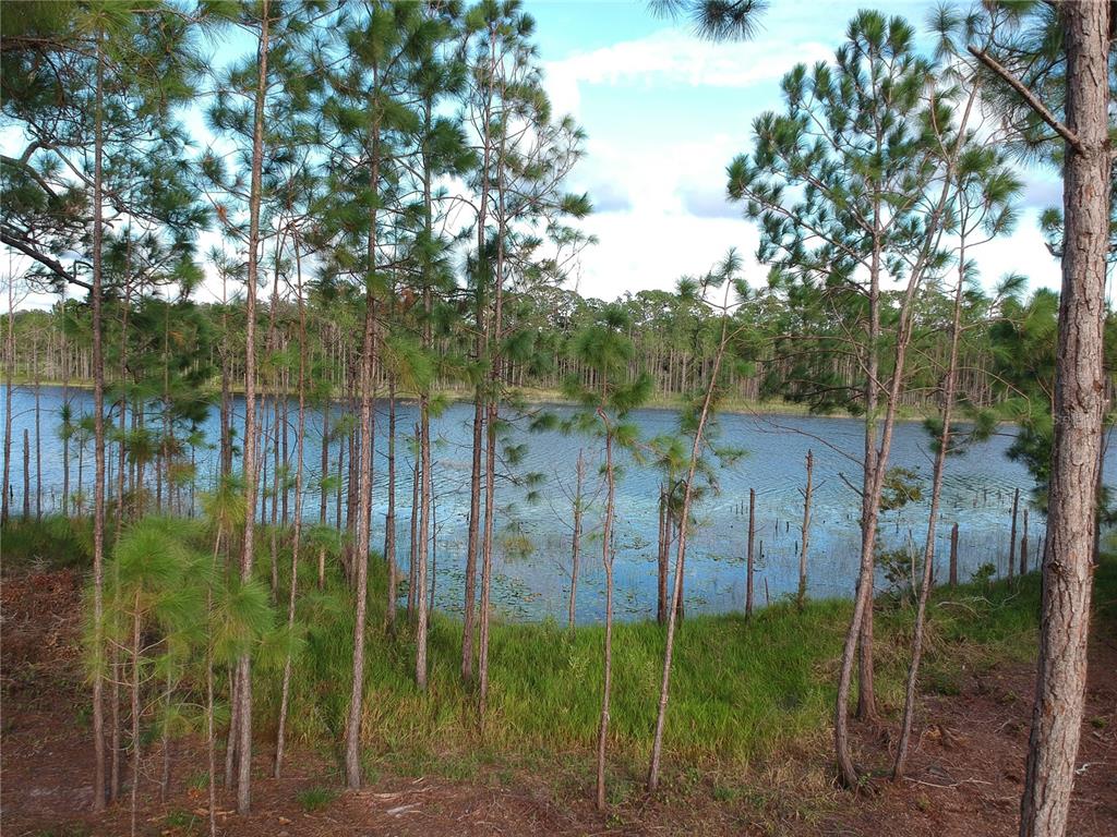 205 Rosedale Drive Deltona, FL 32764 - Photo 37 of 51