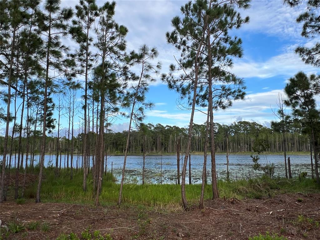 205 Rosedale Drive Deltona, FL 32764 - Photo 38 of 51