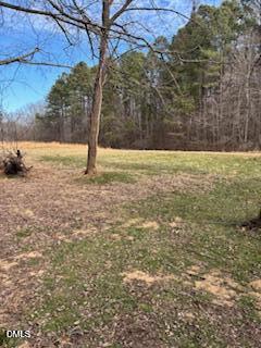 2539 Old Oxford Road Durham, NC 27704 - Photo 2 of 3 a view of yard