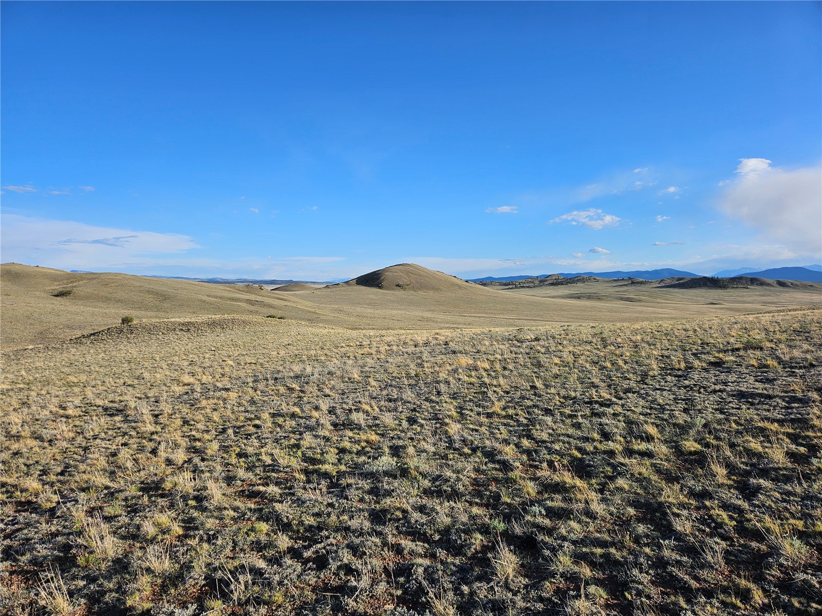 Pcs#24142 Antero Road Hartsel, CO 80449 - Photo 46 of 50