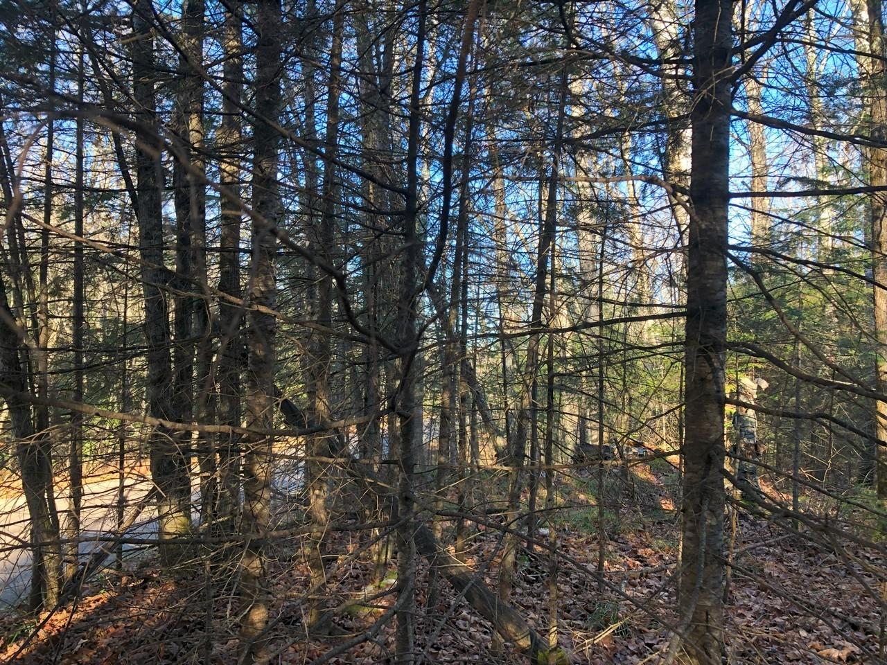 On East Bay Road, Unit LOT 7 Presque Isle, WI 54557 - Photo 26 of 29 Gallery Image 26