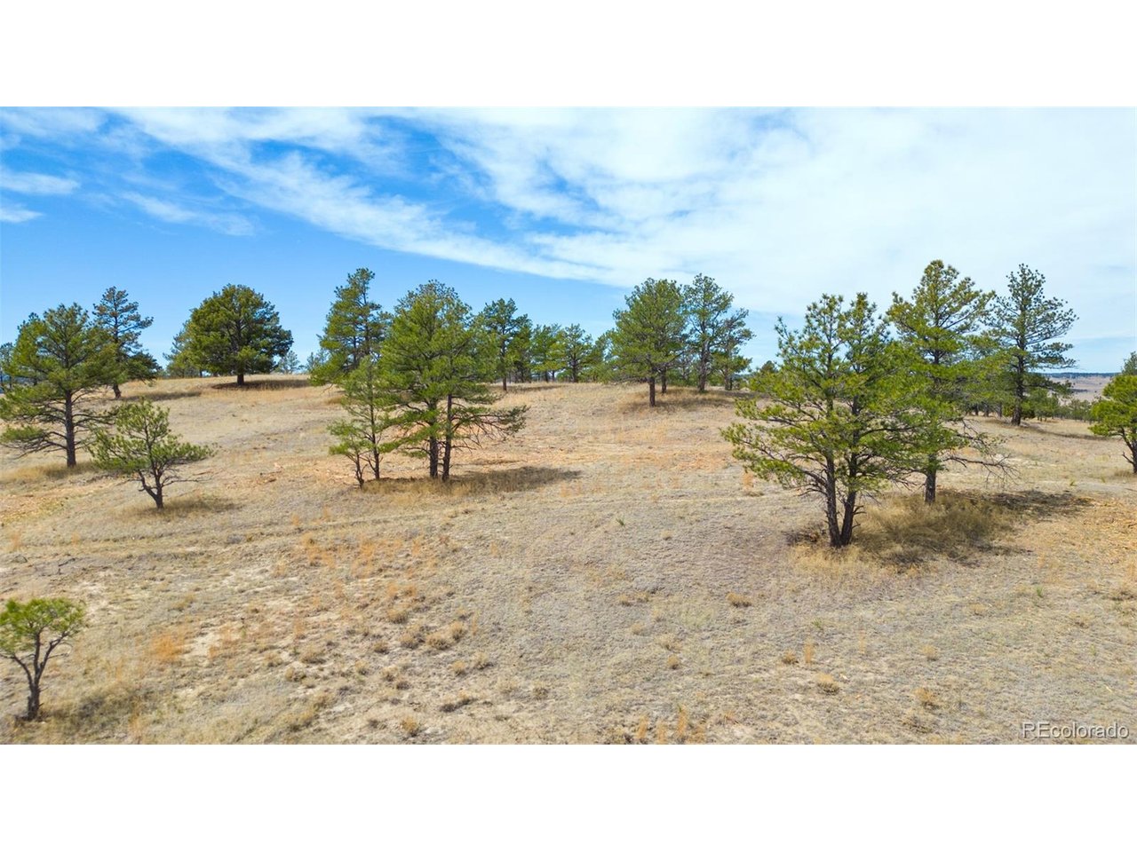 77 County Road Calhan, CO 80808 - Photo 20 of 32 a view of a lake with a big yard