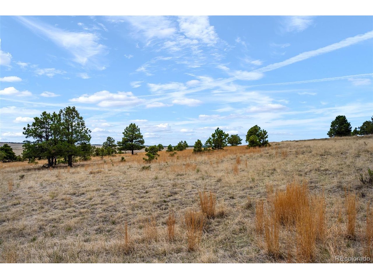 77 County Road Calhan, CO 80808 - Photo 28 of 32 a view of a dry yard with wooden fence