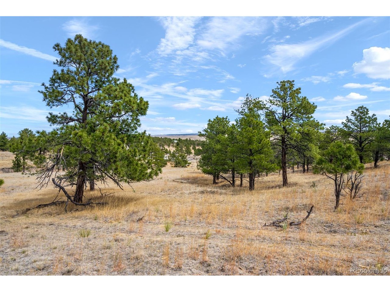 77 County Road Calhan, CO 80808 - Photo 29 of 32