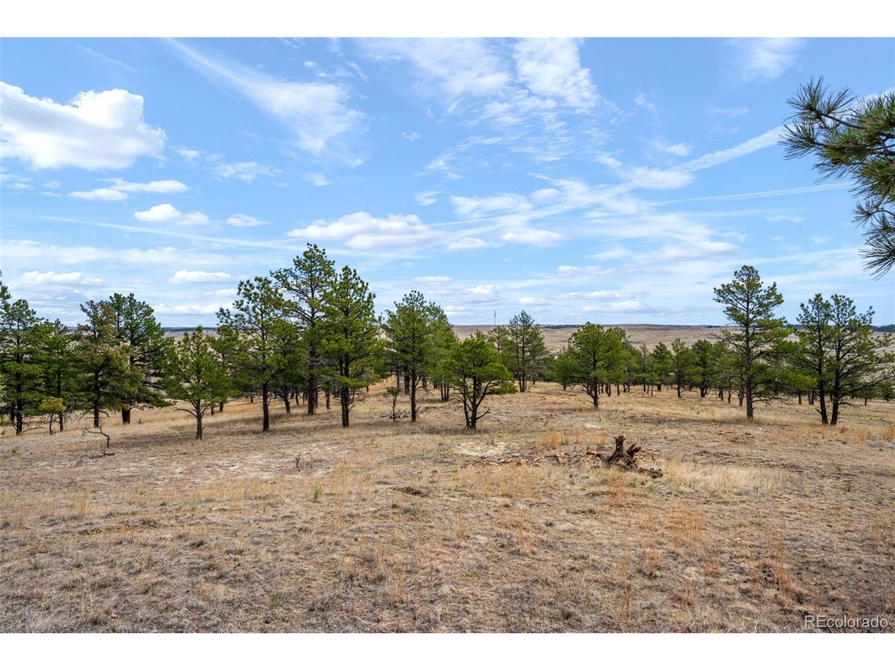 77 County Road Calhan, CO 80808 - Photo 31 of 32 a view of beach and ocean view
