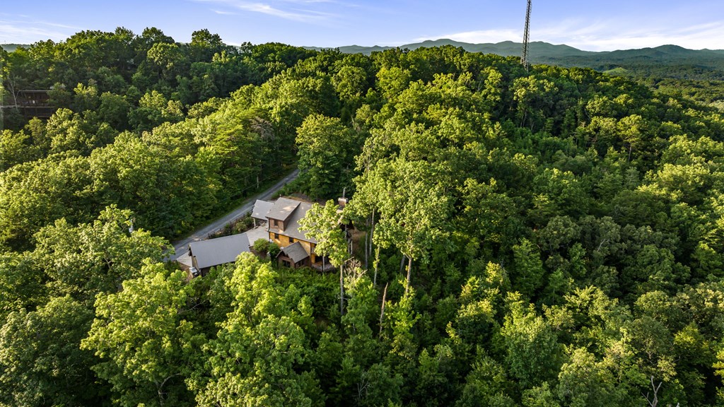 530 Century Lane Blue Ridge, GA 30513 - Photo 54 of 55