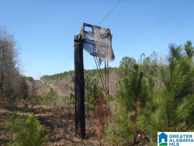 0 Shocco Springs Road, Unit 40 5 AC Talladega, AL 35160 - Photo 5 of 30