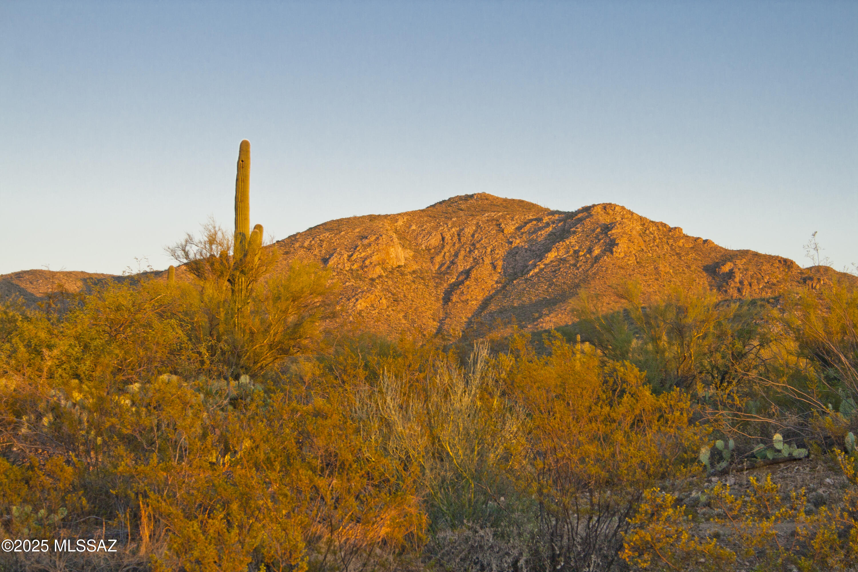 0 Silverian Road Marana, AZ 85658 - Photo 16 of 32