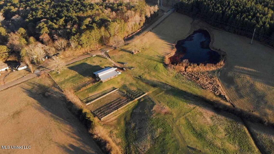 478 Andrew Chapel Road Brandon, MS 39042 - Photo 11 of 24 20210917125218531692000000-o