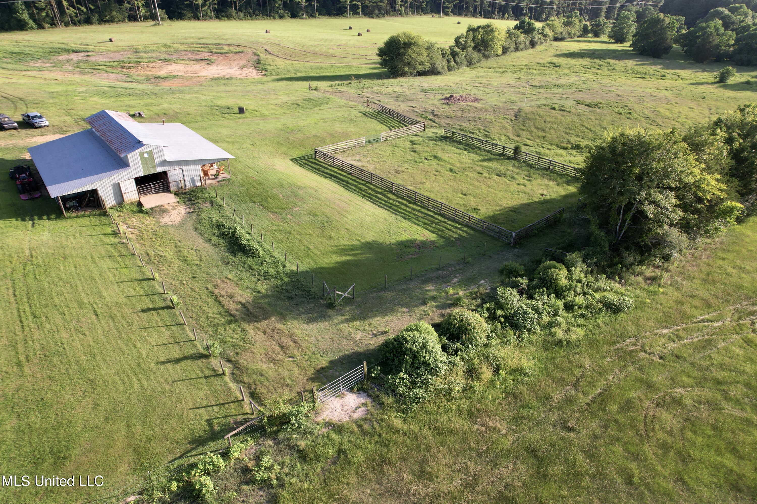 Tara olmsted barn39