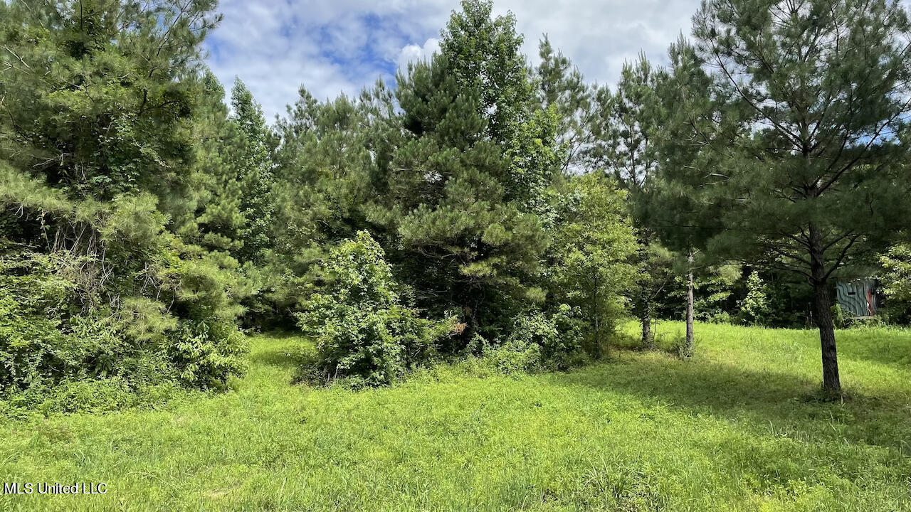 478 Andrew Chapel Road Brandon, MS 39042 - Photo 10 of 24 Tara olmsted camera1 (1)