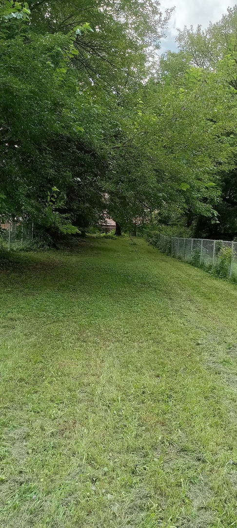 6036 South Wallace Avenue Chicago, IL 60621 - Photo 1 of 1