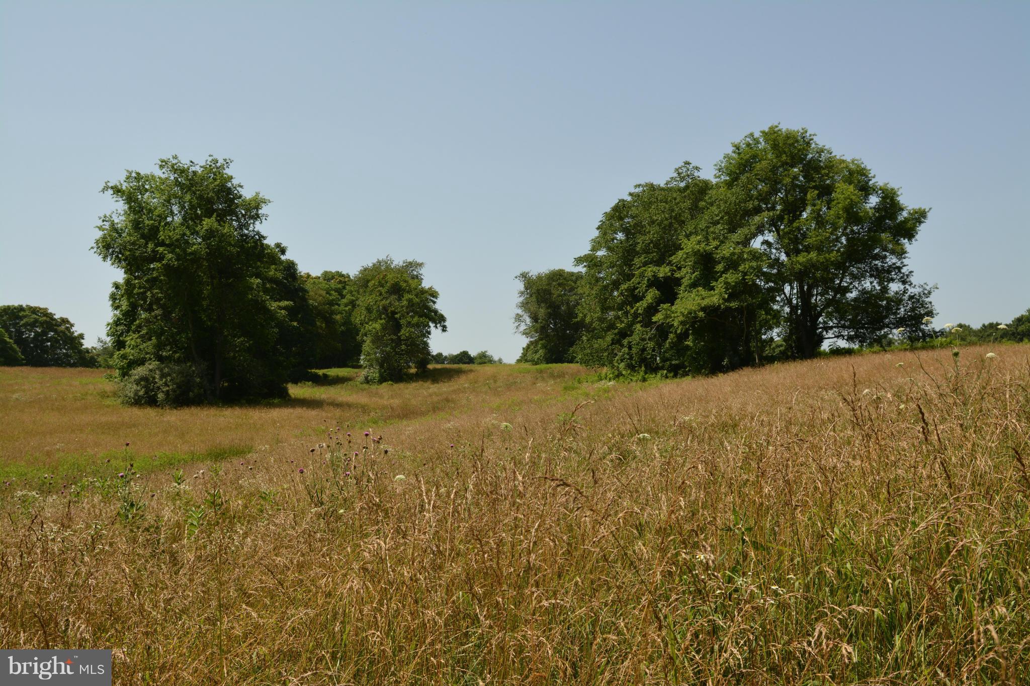 0 Lea Road Marshall, VA 20115 - Photo 11 of 20 View