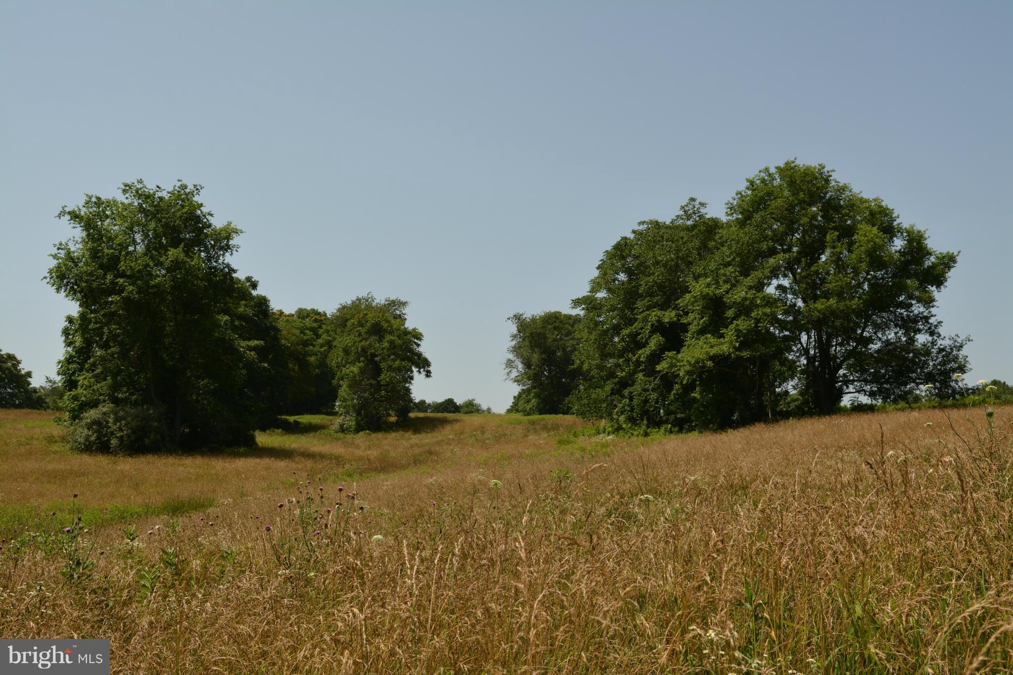 0 Lea Road Marshall, VA 20115 - Photo 12 of 20 View
