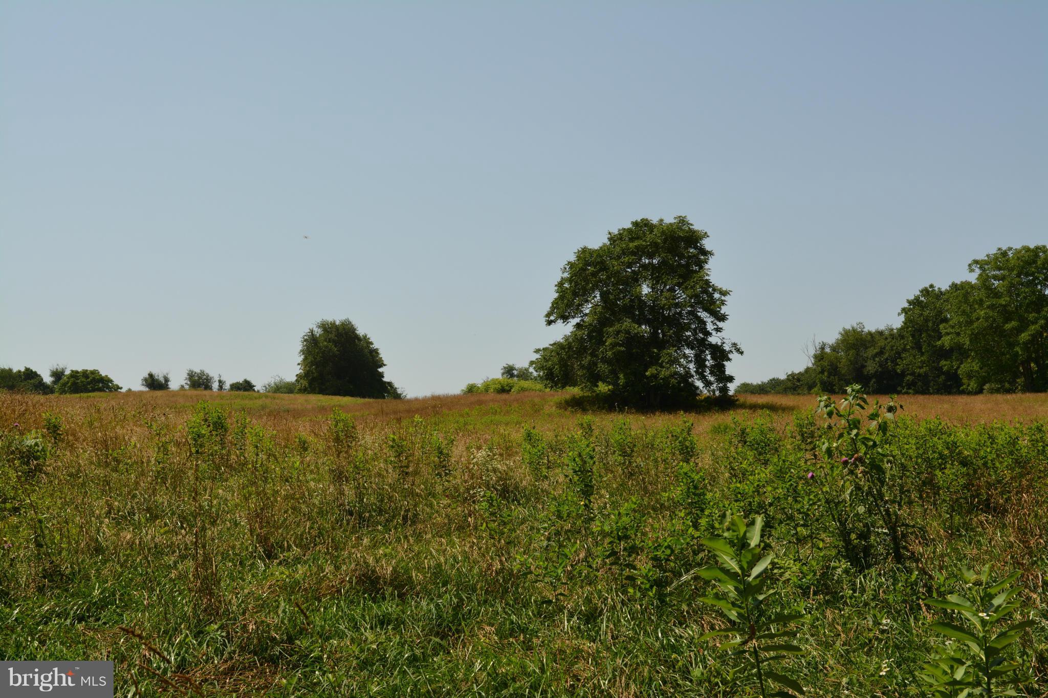 0 Lea Road Marshall, VA 20115 - Photo 13 of 20 View