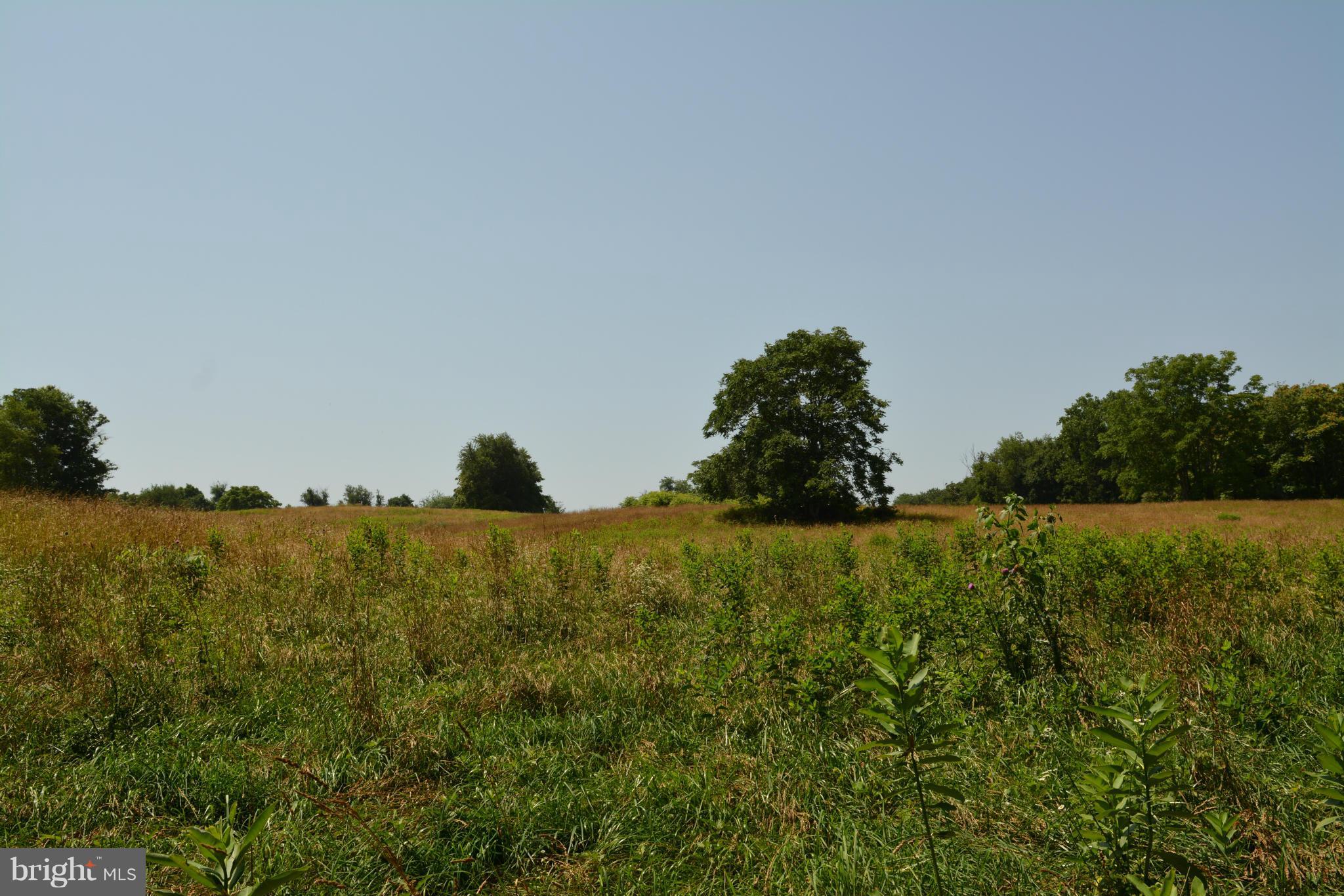 0 Lea Road Marshall, VA 20115 - Photo 14 of 20 View
