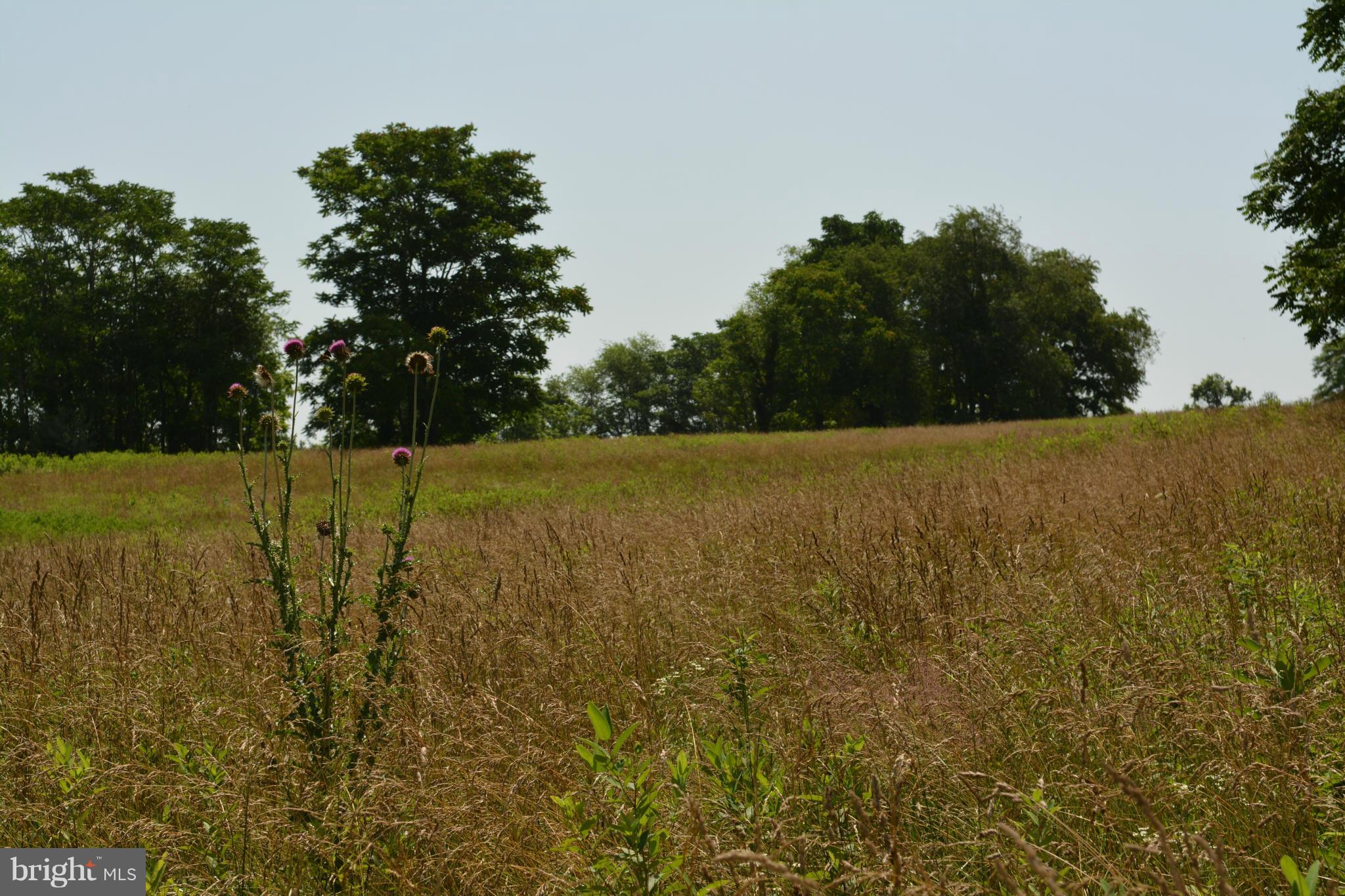 0 Lea Road Marshall, VA 20115 - Photo 15 of 20 View