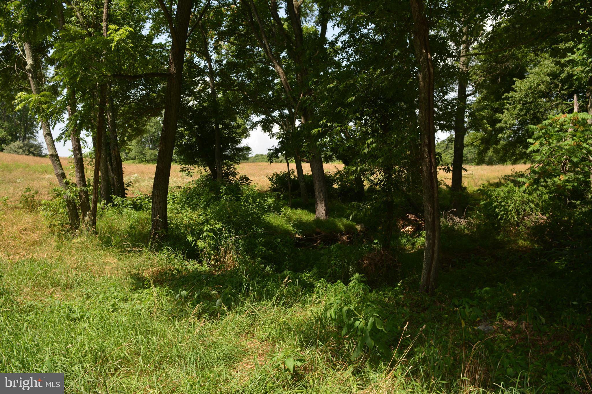 0 Lea Road Marshall, VA 20115 - Photo 17 of 20 View