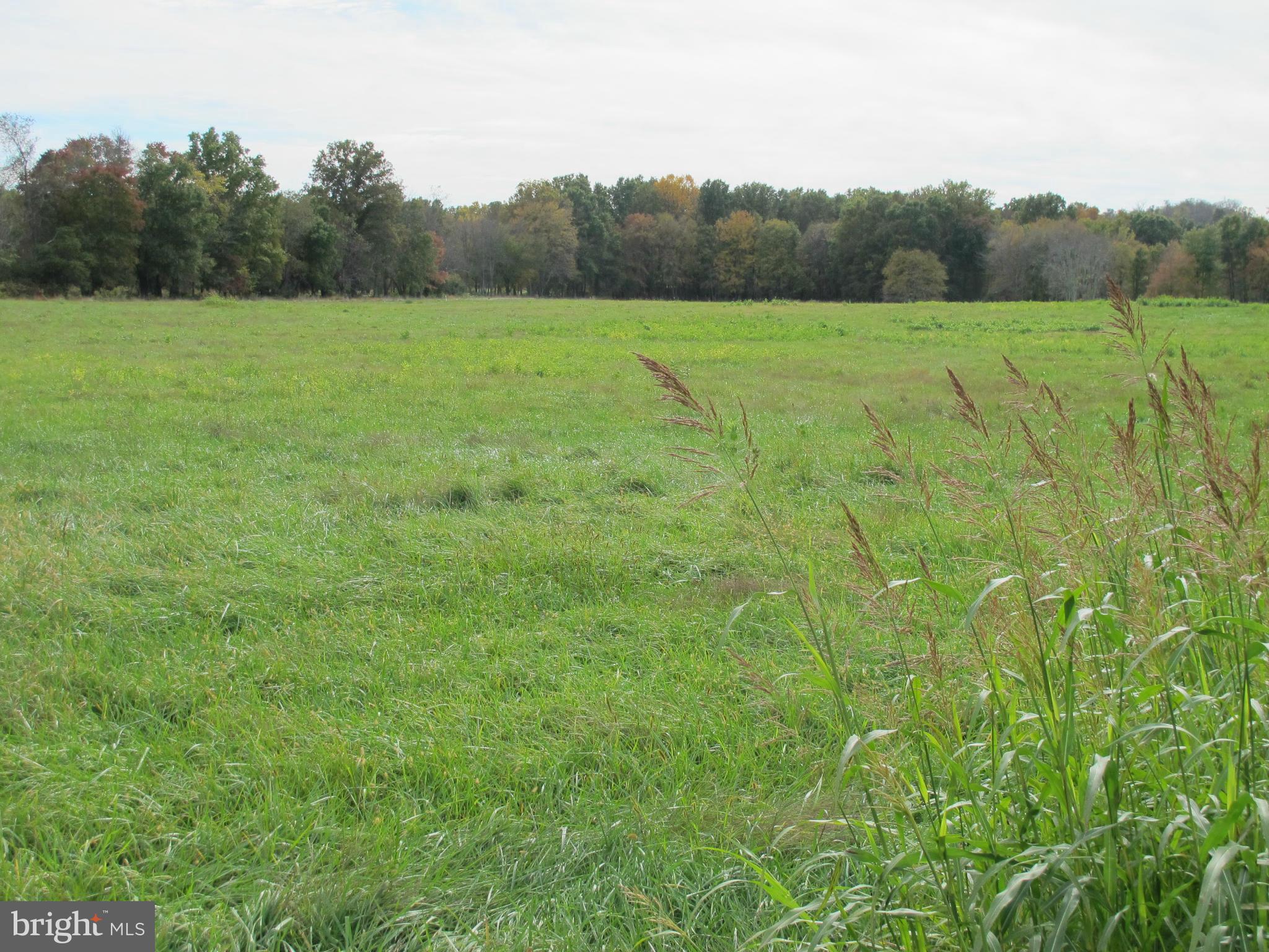 0 Lea Road Marshall, VA 20115 - Photo 3 of 20 View