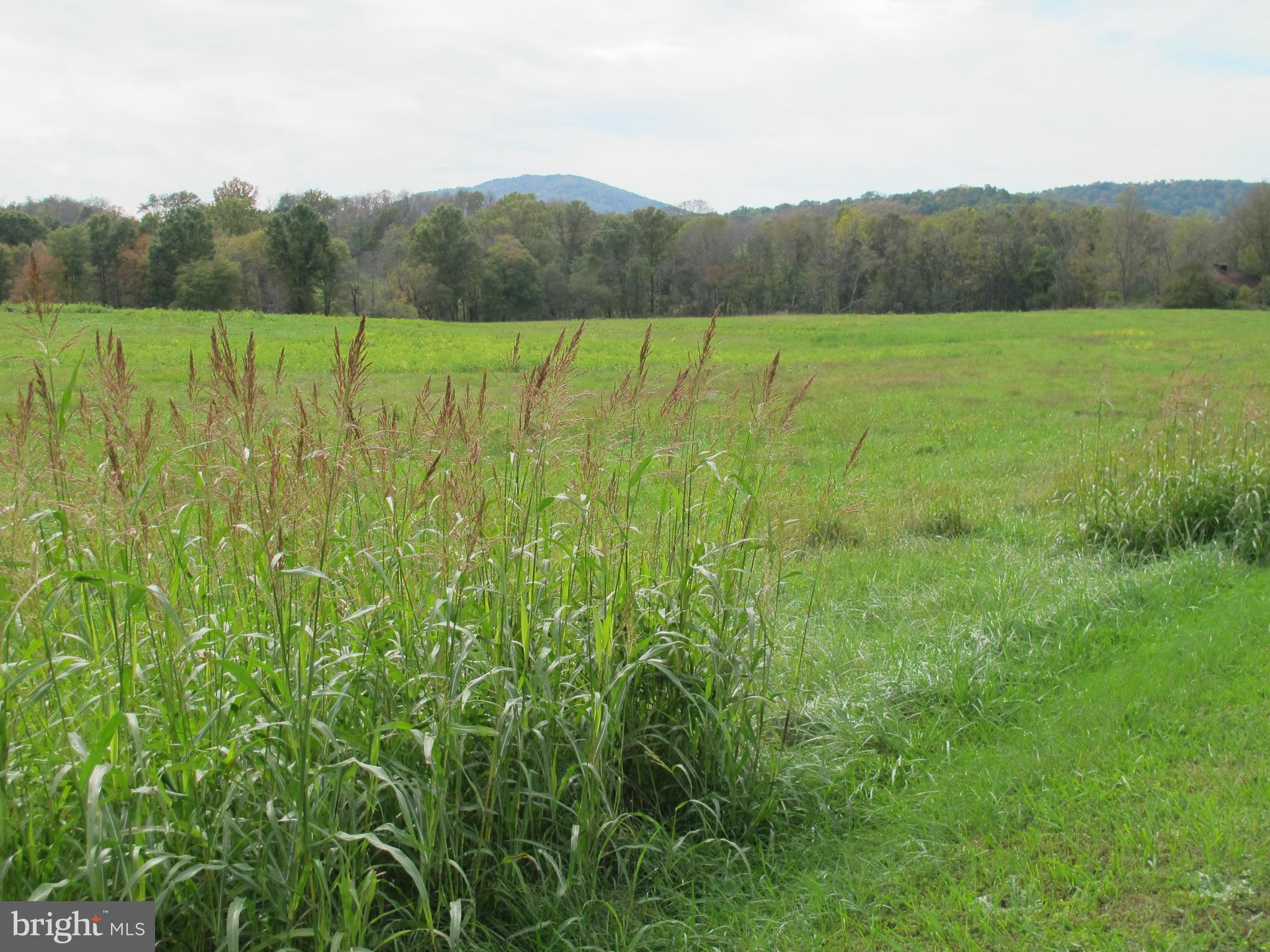 0 Lea Road Marshall, VA 20115 - Photo 4 of 20 View