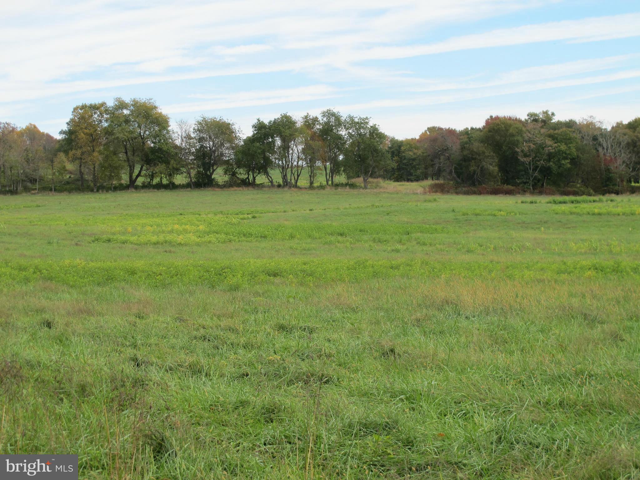 0 Lea Road Marshall, VA 20115 - Photo 6 of 20 View