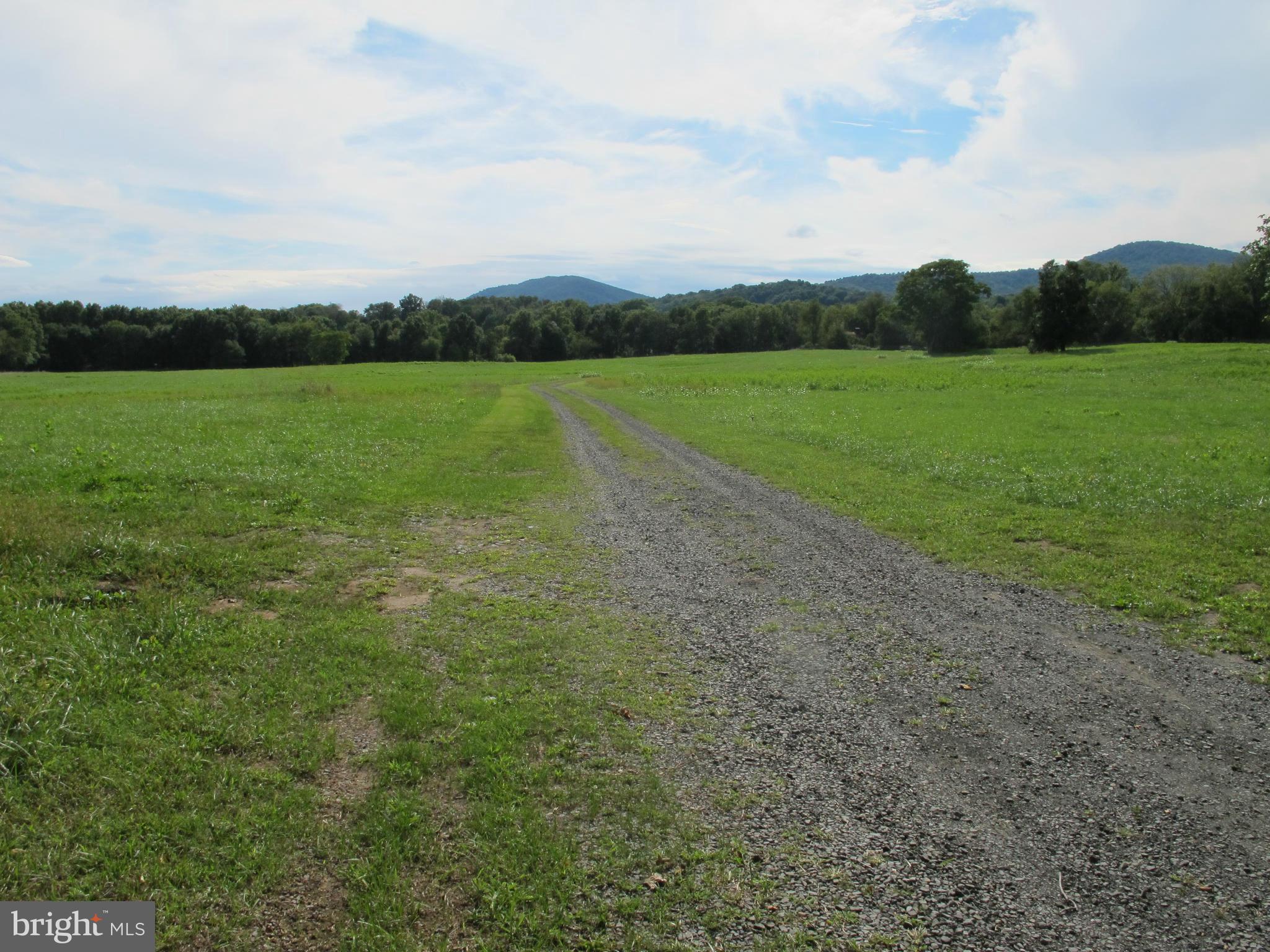 0 Lea Road Marshall, VA 20115 - Photo 7 of 20 View