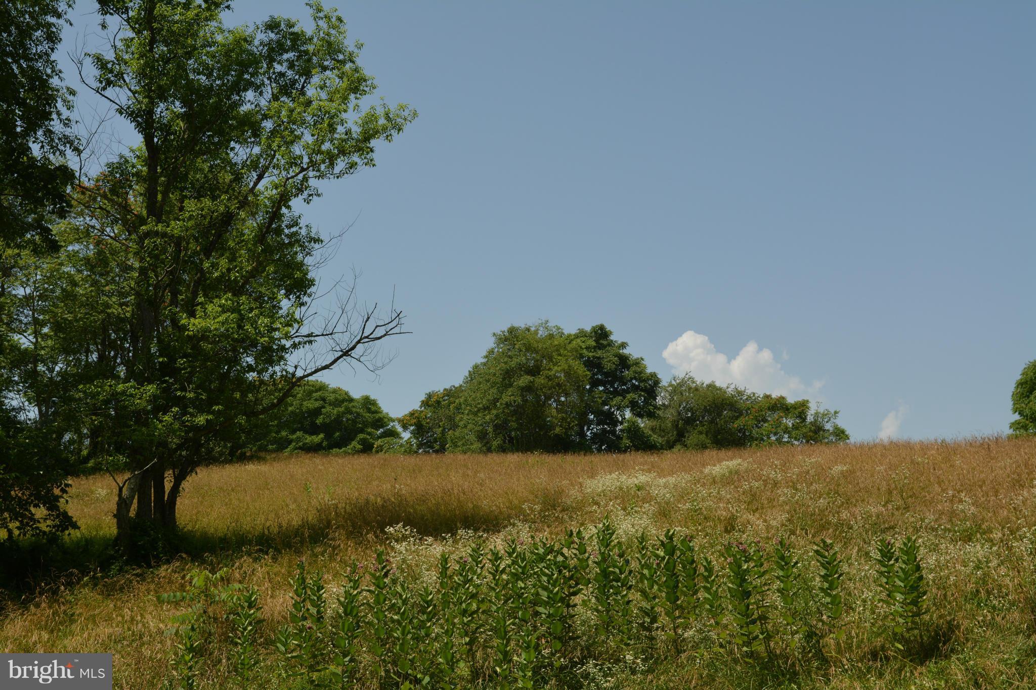 0 Lea Road Marshall, VA 20115 - Photo 9 of 20 View