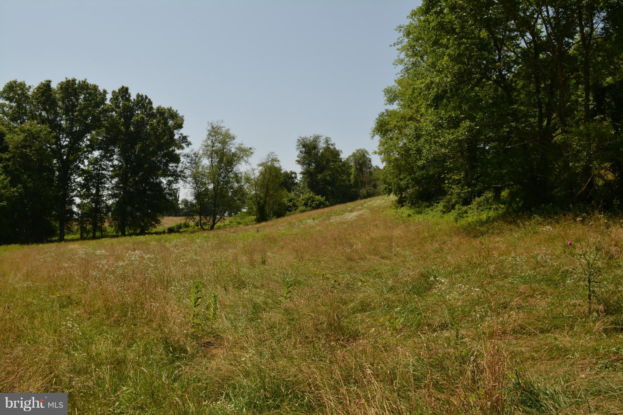 0 Lea Road Marshall, VA 20115 - Photo 10 of 20 View