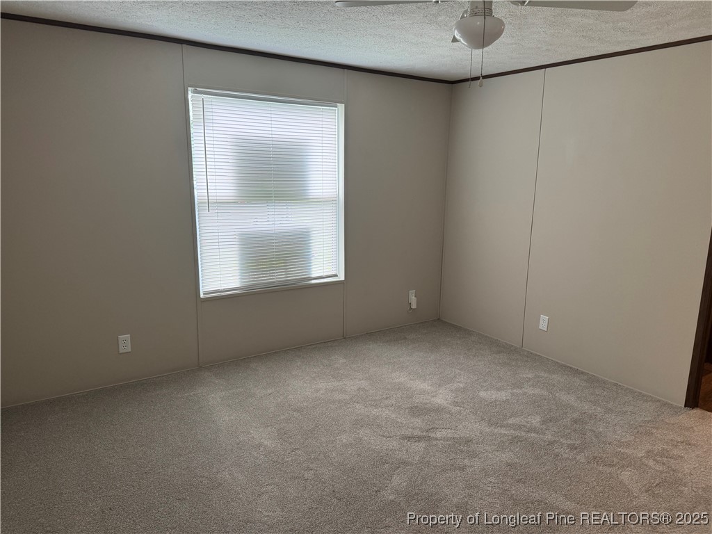 185 McCoy Drive Hoffman, NC 28347 - Photo 18 of 24