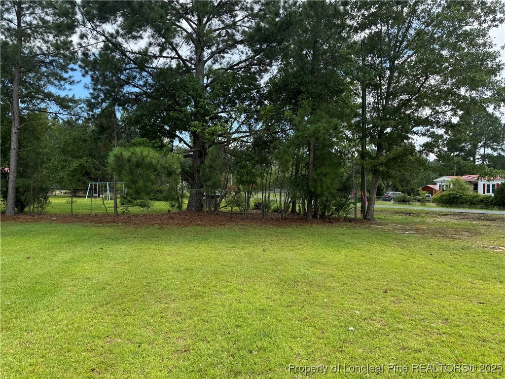 185 McCoy Drive Hoffman, NC 28347 - Photo 4 of 24