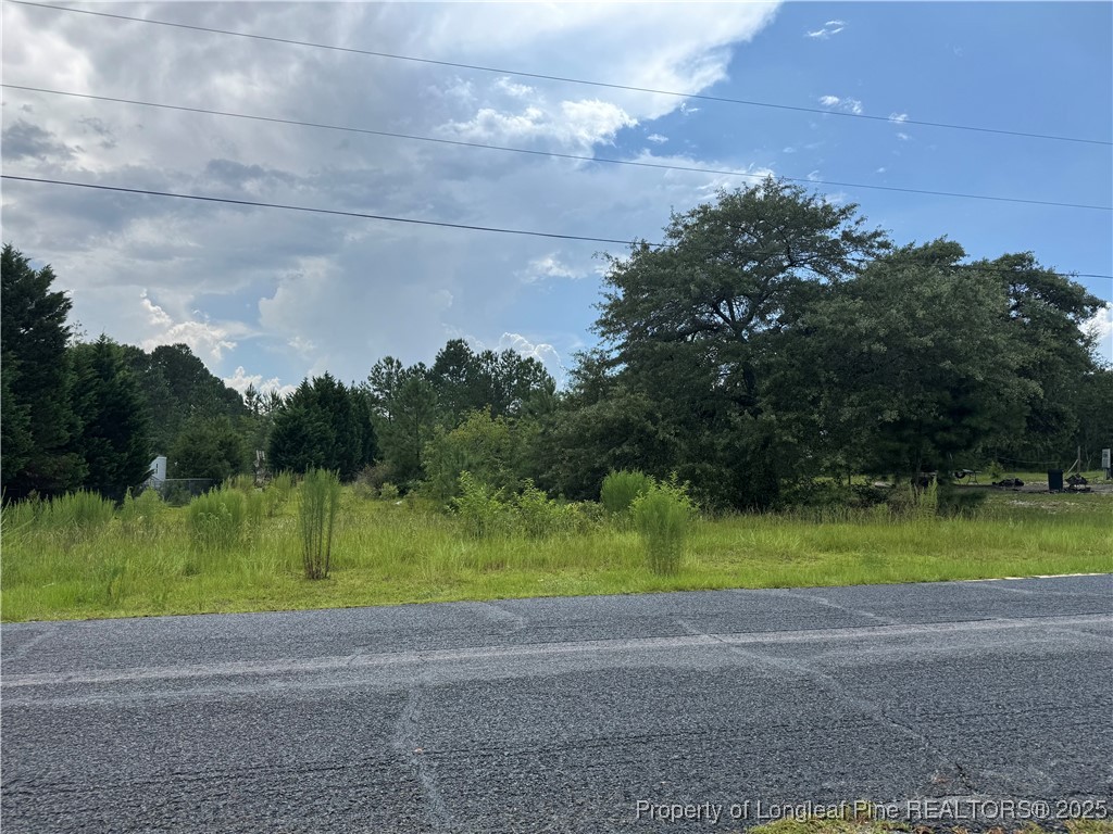 185 McCoy Drive Hoffman, NC 28347 - Photo 6 of 24