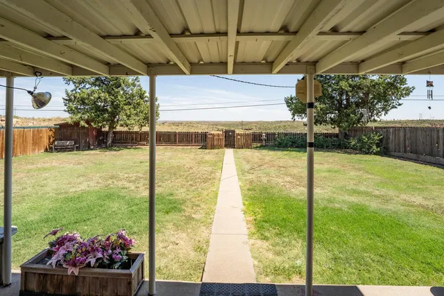 a view of a backyard