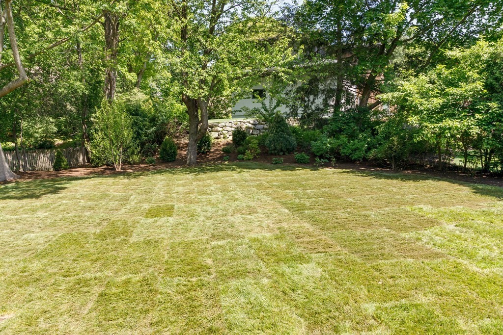 43 Ruane Road Newton, MA 02465 - Photo 24 of 24 a view of a yard with a trees