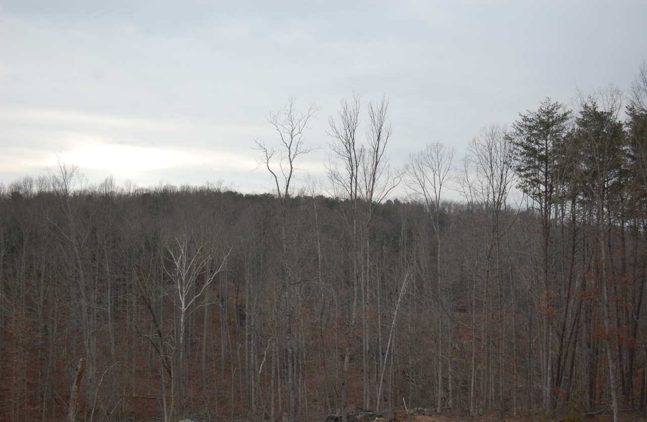 2057 Morgans Mill Road Goodview, VA 24095 - Photo 16 of 18 a view of a yard with a wooden fence