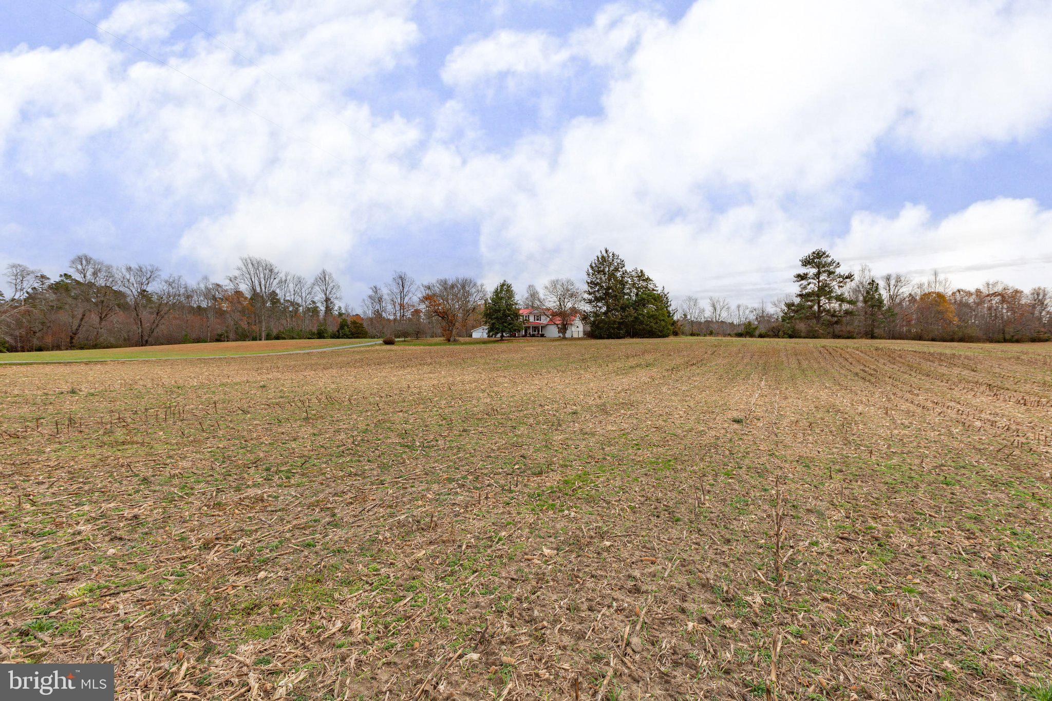 15411 Beverly Run Road Bowling Green, VA 22427 - Photo 53 of 59 Gallery Image 53